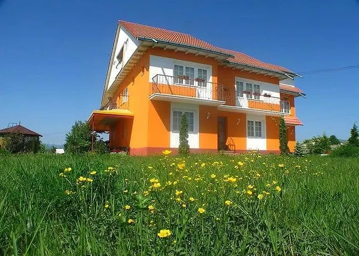 Vila Vlad